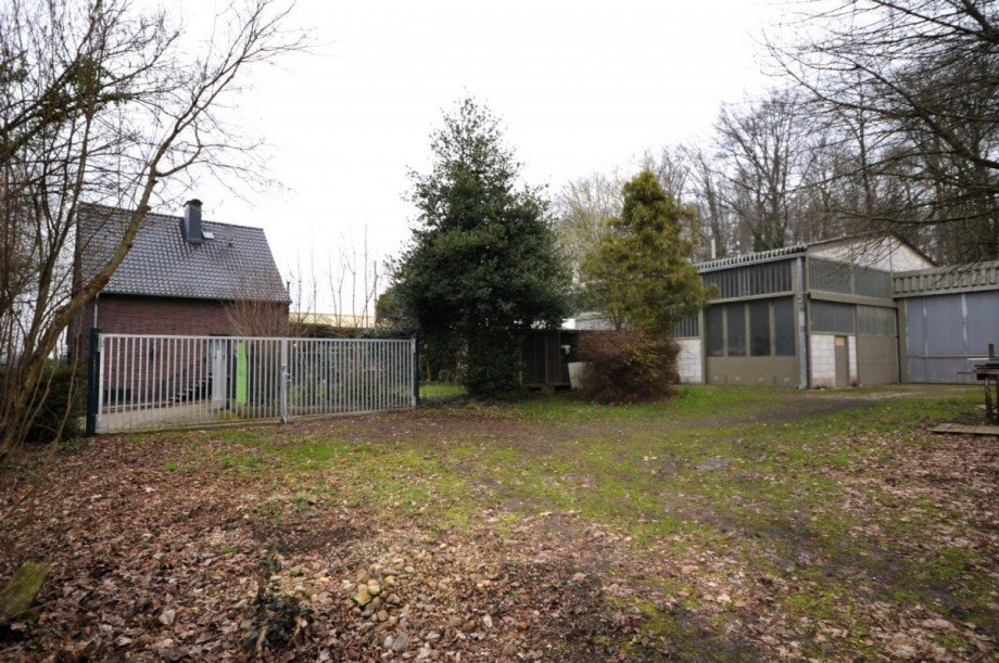 Au�enbereich Bild 3 Einfamilienhaus Hückelhoven-Doveren