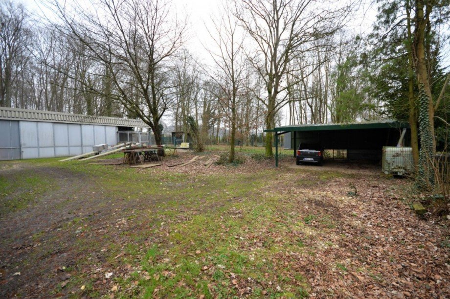 Au�enbereich Bild 4 Einfamilienhaus Hückelhoven-Doveren
