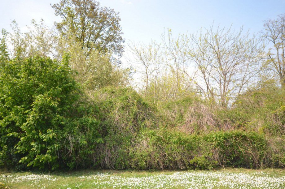  Wohngrundst�ck H�ckelhoven-Doveren