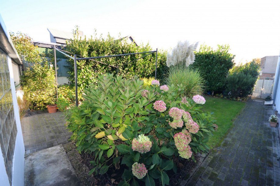 Au�enbereich Bild 1 Einfamilienhaus M�nchengladbach