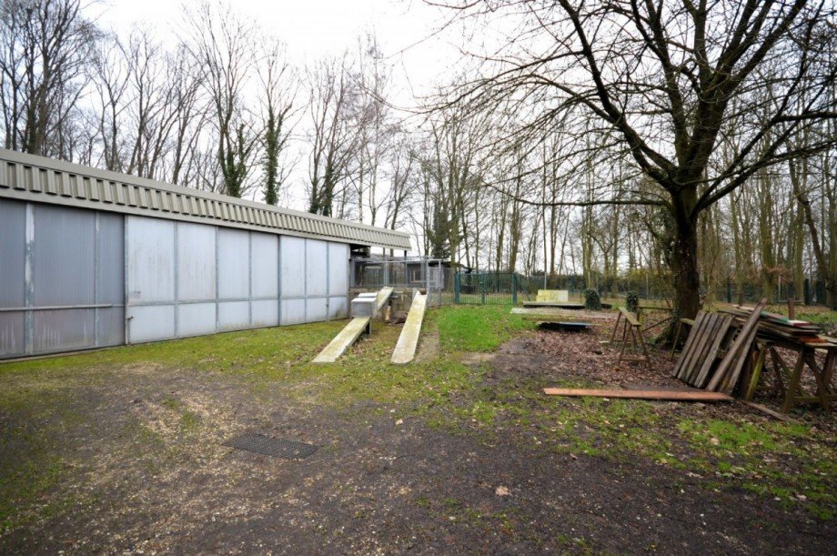 Au�enbereich Bild 1 Einfamilienhaus Hückelhoven-Doveren