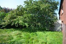 Au�enbereich Bild 2 Sanierungsbed�rftiges Einfamilienhaus auf sch�nem Grundst�ck in ruhiger Lage von Erkelenz-Hetzerath