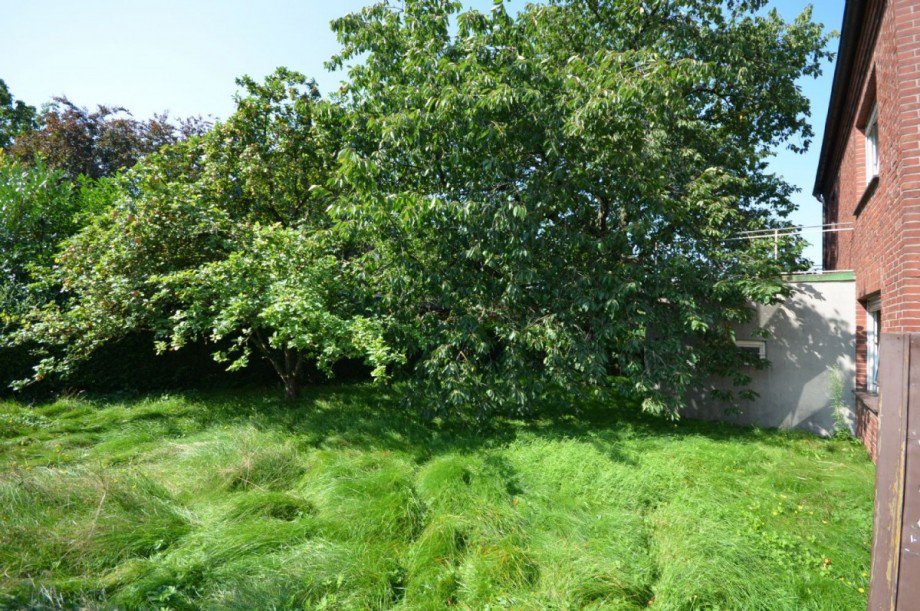 Au�enbereich Bild 2 Einfamilienhaus Erkelenz-Hetzerath